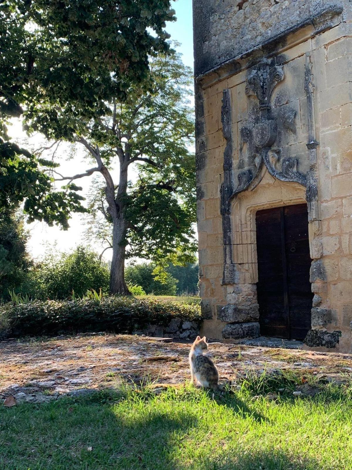Chateau De Monsac Εξωτερικό φωτογραφία