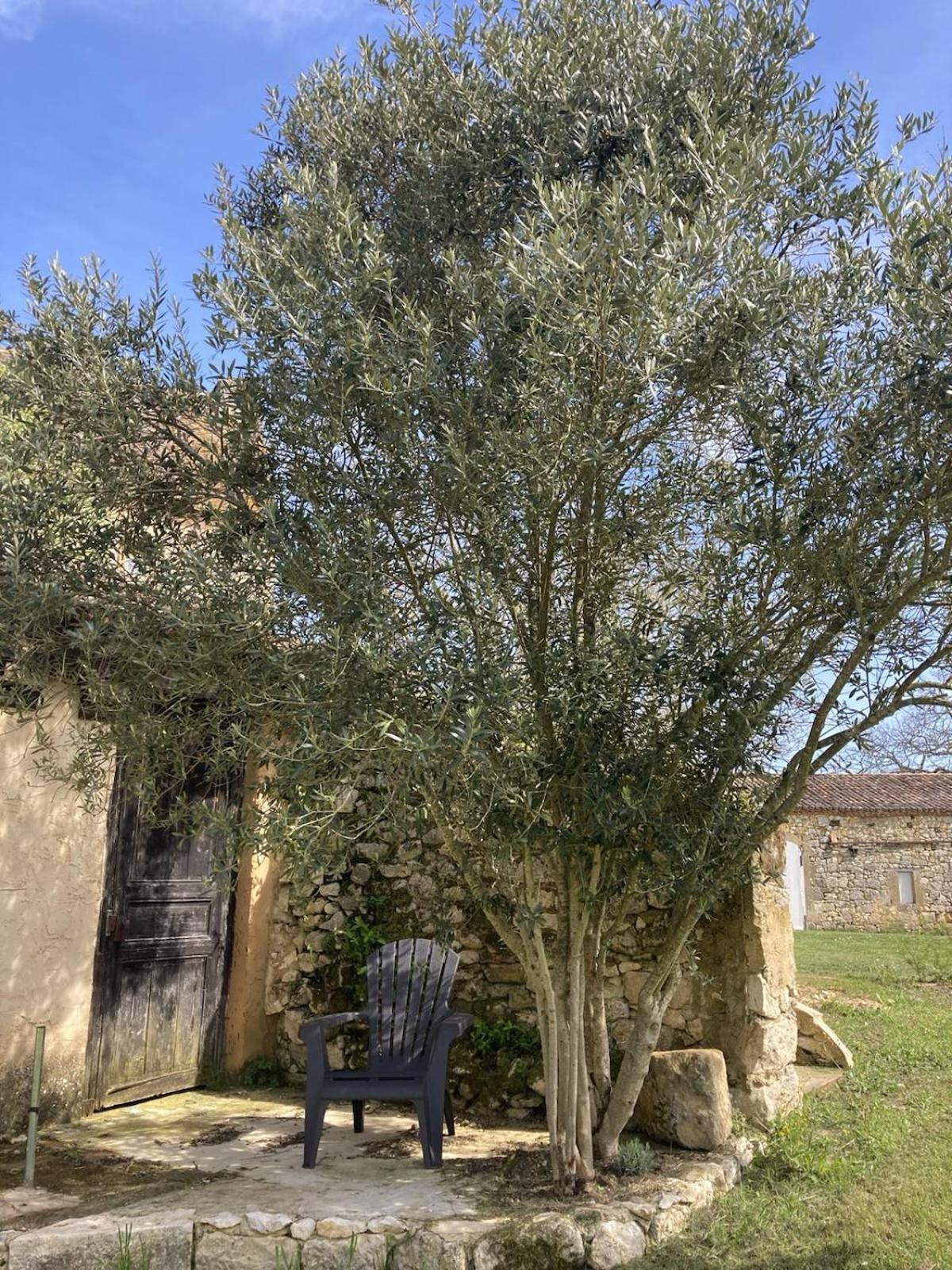 Chateau De Monsac Εξωτερικό φωτογραφία